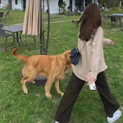 果实