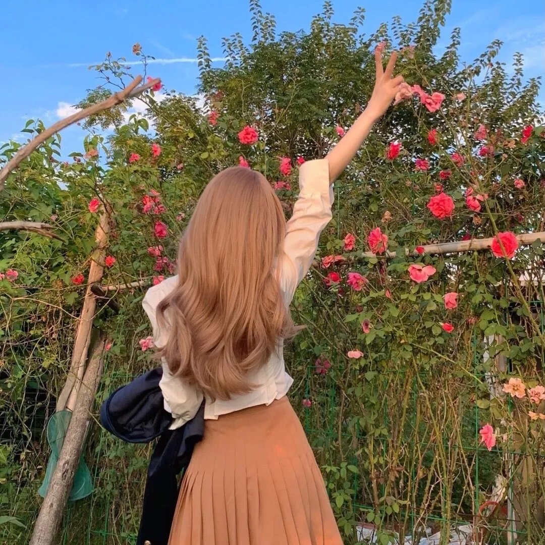 科搜研之女第24季